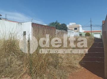 NULL · Terreno disponível para locação no bairro Alto Umuarama em Uberlândia-MG