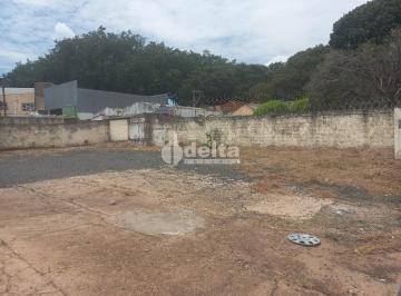 NULL · Terreno disponível para locação no bairro Alto Umuarama em Uberlândia-MG