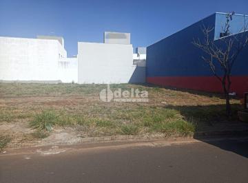 Terreno · 300m² · Terreno disponível para locação no bairro Novo Mundo em Uberlândia-MG