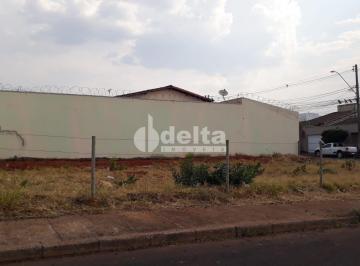Terreno · 250m² · Terreno disponível para locação no bairro Alto Umuarama em Uberlândia-MG
