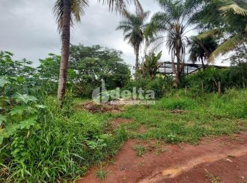 NULL · Terreno disponível para locação no bairro Shopping Park em Uberlândia-MG