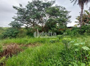 NULL · Terreno disponível para locação no bairro Shopping Park em Uberlândia - MG