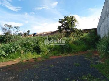 Terreno · 720m² · Terreno disponível para locação no bairro Dona Zulmira em Uberlândia-MG