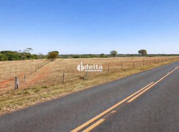 Comercial · 29000m² · Área disponível para locação e venda no bairro Zona Rural em Uberlândia-MG