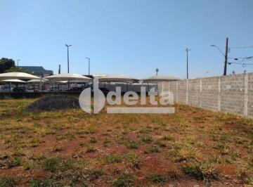 Terreno · 600m² · Terreno disponível para aluguel no bairro Aclimação em Uberlândia-MG