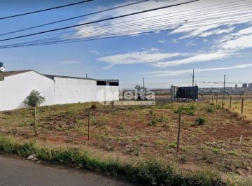 Terreno · 777m² · Terreno disponível para locação no bairro Alto Umuarama em Uberlândia-MG