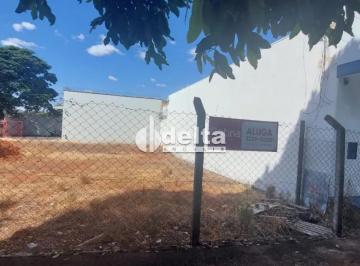 Terreno · 300m² · Terrno disponível para locação no bairro Centro em Uberlândia-MG