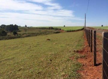 Rural , Quadra · Sítio com 04 Alqueires em Cesário Lange-SP
