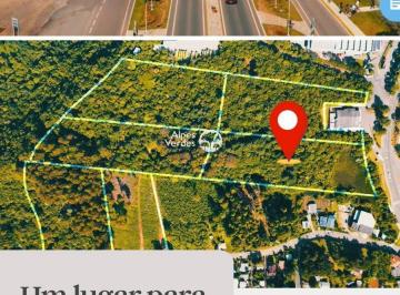 Terreno · Vende-se área frente rodovia RS115- 19.688.2m²- Valor R$ 24.815.000,00