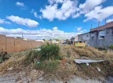 Terreno · 1500m² · Oportunidade de Investimento: Terreno para Empreendimento Residencial em Pinhais