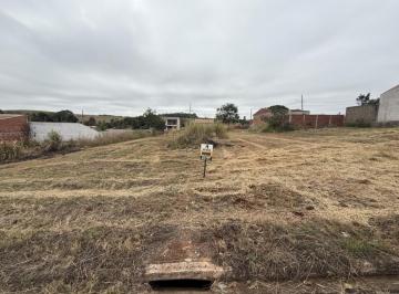 790010630.jpg · Terreno