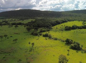 1763_il767P14nUd_17636790e7a2254d1.jpg · Venda - Zona Rural