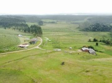 Rural · 4 Quartos · Fazenda em Colônia Murici  -  São José dos Pinhais