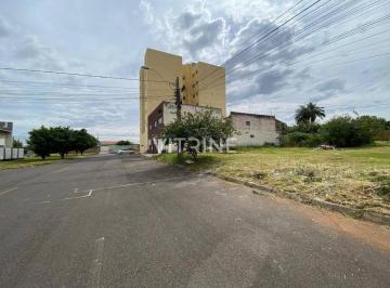 Casa · Vendo Lote Comercial Setor Sul do Gama