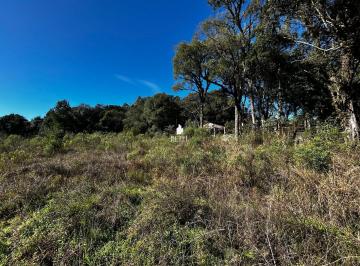 Terreno · 1103m² · Terreno à venda no bairro Ana Rech - Caxias do Sul/RS