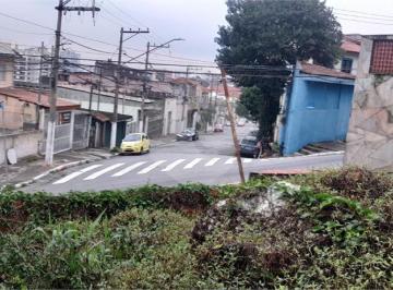 Terreno · 240m² · Terreno à venda em Vila baruel - SP