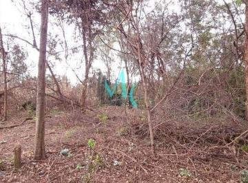 Terreno · 10m² · Imoveis - no Campo Grande