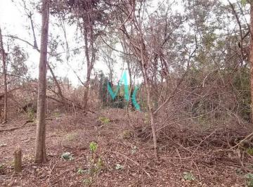 Terreno · 10m² · Terreno em Campo Grande, Rio de Janeiro/RJ de 10m² para locação R$ 7.500,00/mes