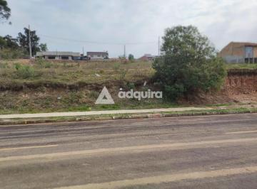 Terreno · 10m² · Terreno em Camacuã, Irati/PR de 10m² à venda por R$ 120.000,00