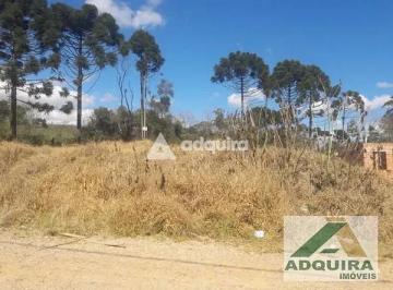 Terreno · 10m² · Terreno em Colônia Dona Luíza, Ponta Grossa/PR de 10m² à venda por R$ 96.250,00