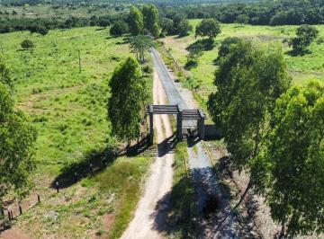 Rural de 10 quartos, Colinas do Sul · FAZENDA EM COLINAS DO SUL - GOIÁS | 1.564 HECTARES, DUPLA APTIDÃO, RICA EM ÁGUA