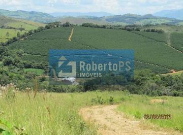 Foto 01 · Fazenda com 206 hectares localizada entre São Lourenço e Caxambu no sul de Minas com 110 mil pés de 