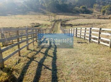 Foto 01 · Excelente fazenda para pecuária em Cambuí - MG próxima  ao Estado de São Paulo  a 1 Km da Rodovia Fe