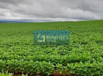 Foto 01 · Fazenda à venda com 135 alqueires goiano