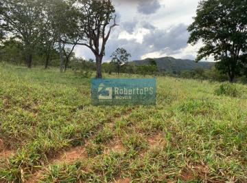 Foto 01 · Fazenda de gado à venda na região de Paracatu - MG com 212 hectares