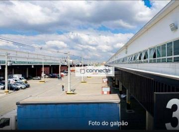a5c07de83235d59697869b06ec4e29d0cff4d83b · Galpão para alugar, 3369 m² - Jardim Santa Vicência - Guarulhos/SP