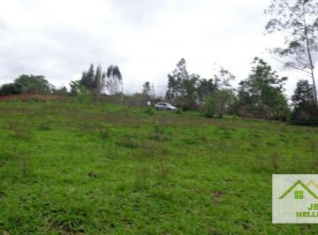 abef711a79db128464b88c955e5a81a671cc45b0 · SANTA IZABEL - TUPI
