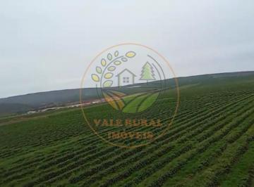 Foto 02 · EXCELENTE FAZENDA DE CAFÉ A VENDA EM MINAS GERAIS  FA00301