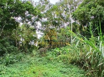 Imagem do Imóvel · Oportunidade única no Litoral Norte de SP, 5 lotes de terreno em Massaguaçu Caraguatatuba-SP à 1000 