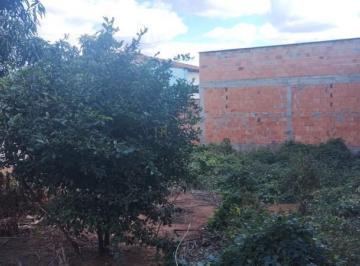 97808_30-1_164010.jpg · LOTE 360M2 MURADO 
