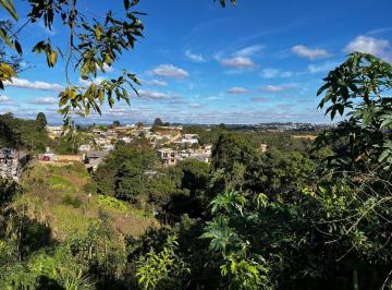 202507081548162162.jpeg · Terreno Urbano para Venda em Almirante Tamandaré, Colônia Antônio Prado