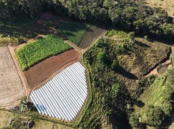 Rural de 3 quartos, Munhoz · Sítio Espetacular à Venda em Munhoz-MG Com Escritura Registrada