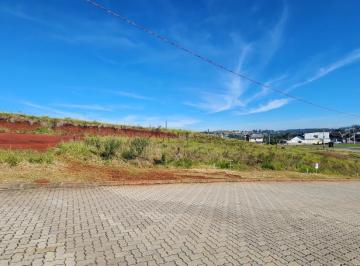 38320193_g.jpg · 
                                Terrenos planos
                            