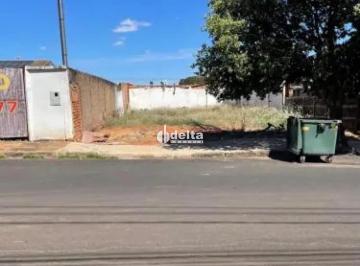 Terreno · 720m² · Terreno disponível para venda no bairro Santa Mônica em Uberlândia-MG