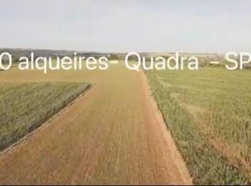 Rural de 1 quarto, Quadra · Sítio de 10 Alqueires em Quadra-SP
