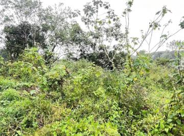 202507051014341644.jpg · Terreno para Venda em Itanhaém, Jardim Coronel