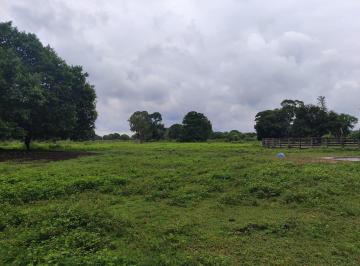 Rural de 22 quartos, Poconé · FAZENDA A VENDA NA PARTE ALTA DO PANTANAL MATO-GROSSENSE. MUNICÍPIO DE POCONÉ