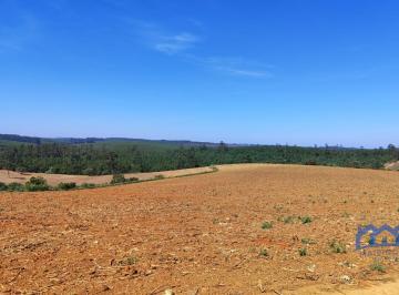 Foto 01 · Sítio/Fazenda à Venda, 30 alqueires por R$ 10.600.000 Cód. ch2337