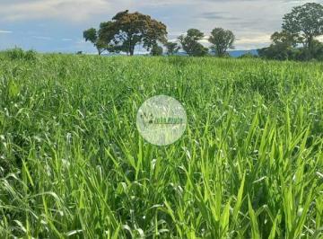 Rural , Flores de Goiás · Fazenda a venda em Flores- GO - 1.752 HA - DUPLA APTIDÃO - Ótimas instalações