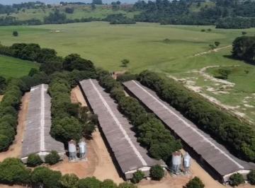 Foto 01 · *EXCELENTE SÍTIO COM GRANJA A VENDA EM TATUÍ - SP* ?? Aptidão: Granja de Frango e Gado de Corte