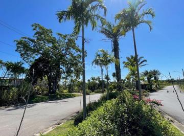 38638_iIi6w4upfh54_386386846cd38d6f26.jpg · Terreno com 450m² na Vargem do Bom Jesus, Florianópolis