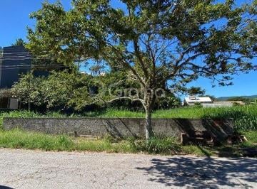 38051_irr36l8_380516812763d396ab.jpg · Terreno com 720m² no bairro Trindade, Florianópolis
