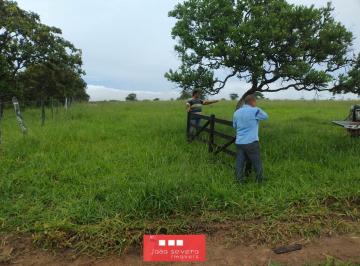 202507071815379571.jpeg · Fazenda para Venda em Barra do Garças