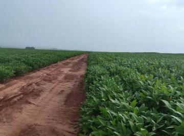 202507071841445237.jpeg · Fazenda para Venda em Naviraí