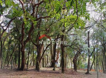 Terreno · 1095m² · Lote em Rua Levino Dal Bosco - São Virgílio - Caxias do Sul/RS