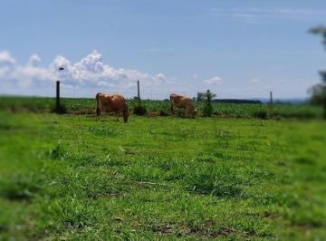 Rural · 26000m² · 3 Quartos · 2 Vagas · Chácara à Venda em Missal/PR